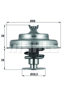 WILMINK GROUP Termostats, Dzesēšanas šķidrums WG1104811